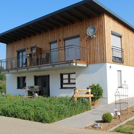 Ferienwohnungen "Blumenwiese" Dillingen an der Donau Exterior photo